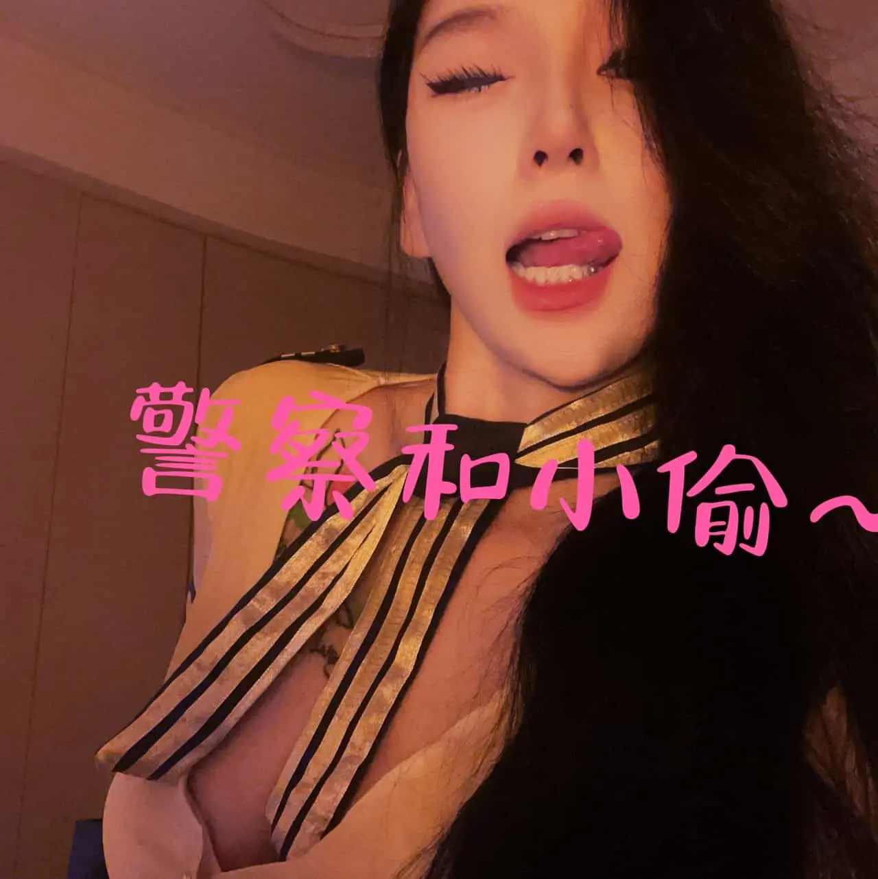 知妤 – 警察与小偷