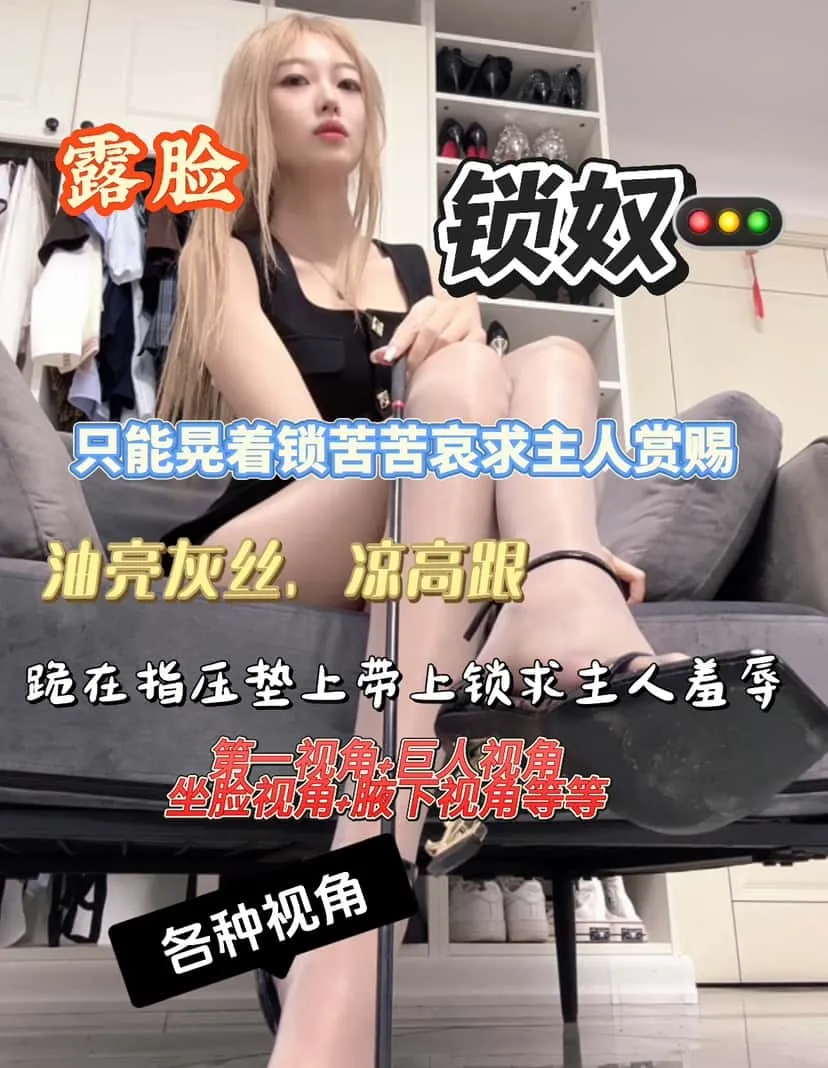 酒鸽 – 油亮灰丝凉高