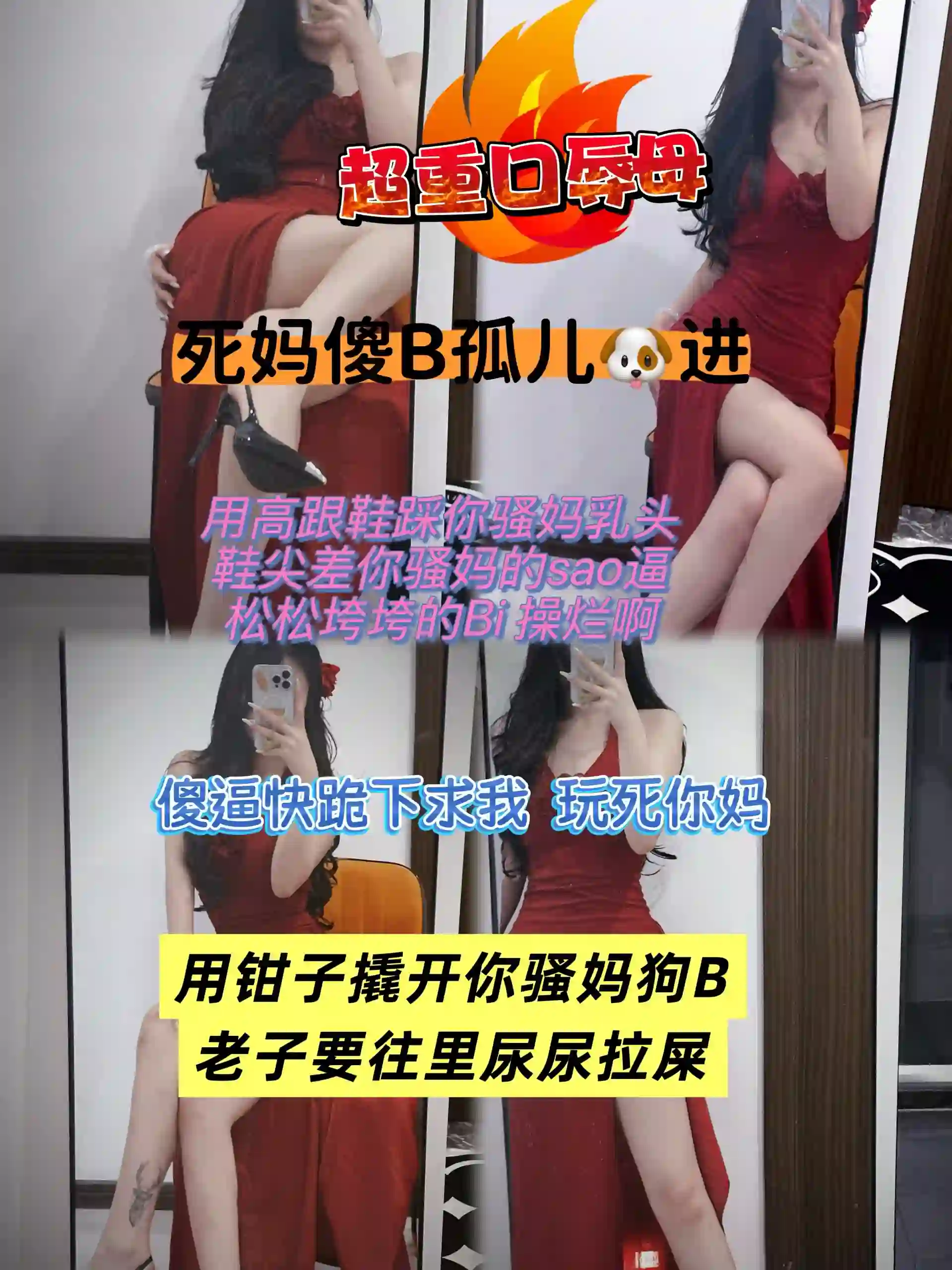 苏晴 – 重口辱母傻逼孝子进