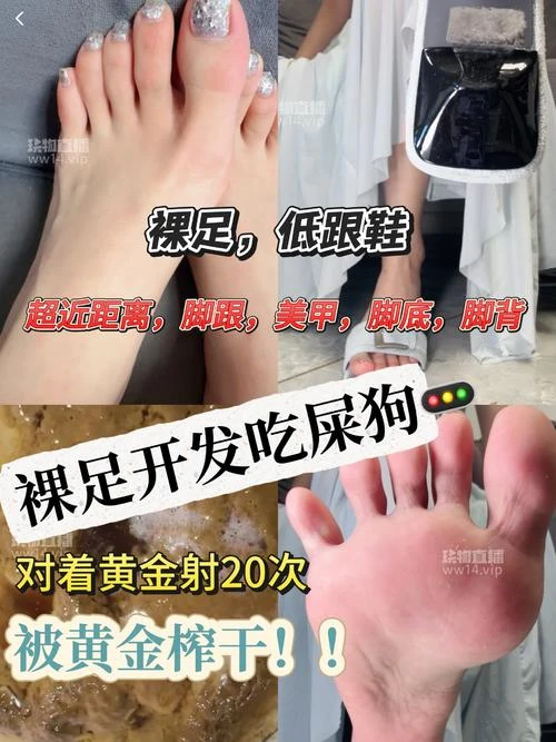 酒鸽 – 吃屎狗爬进来