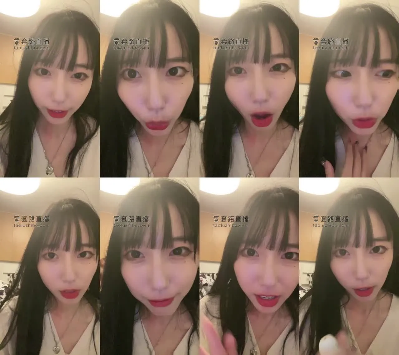 西怡 – 洗脑榨金供猪别带脑子进