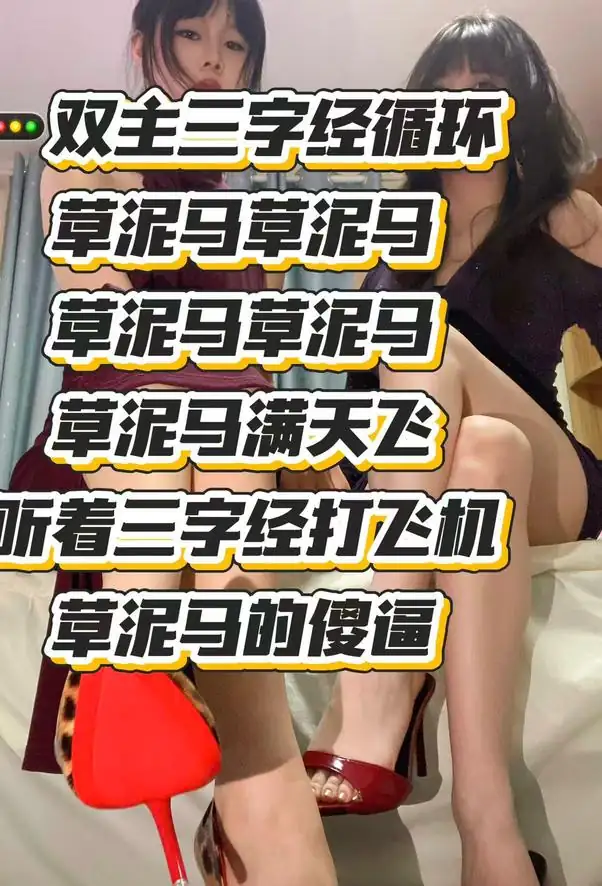 苏明玥 – 双主三字经循环